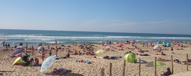 La Chêneraie - Visuel activité - Côte d'Argent