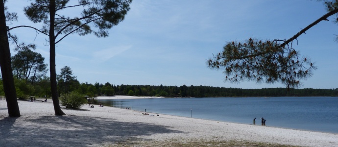 Aperçu de l'activité : Domaine départemental de sports et de loisirs d'Hostens