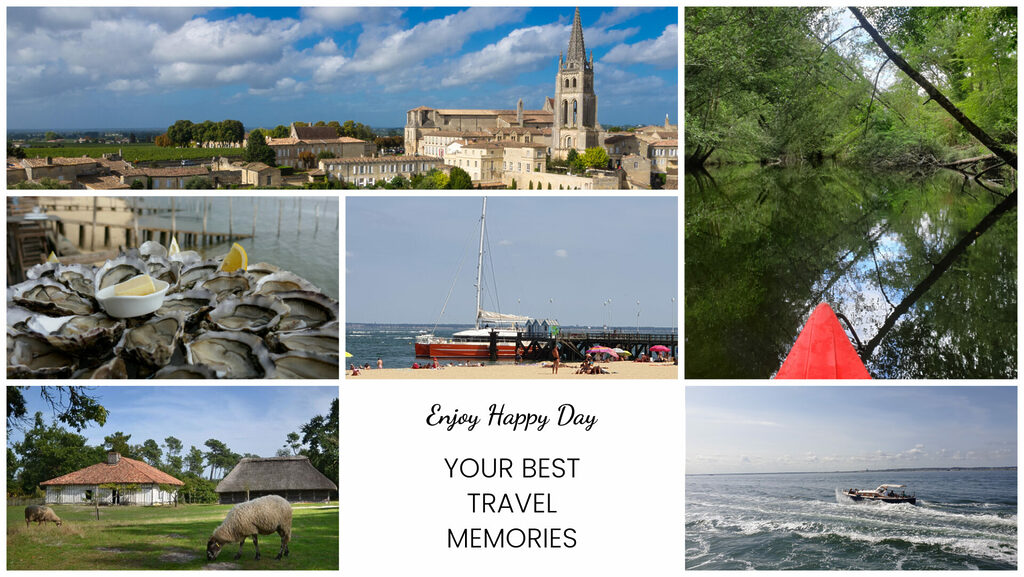 Aperçu des activités