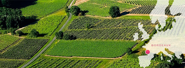 Aperçu de l'activité : Les vignobles des Graves et de Sauternes
