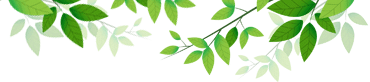La Chêneraie - Élément décoratif - feuilles décoratives