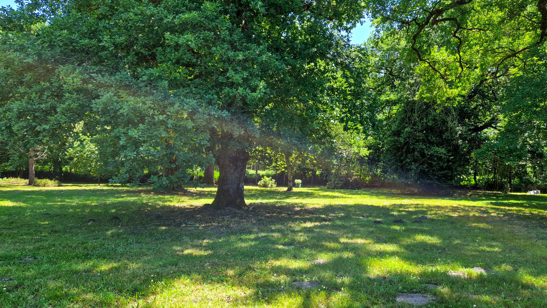 La Chêneraie - Aperçu du parc n°10