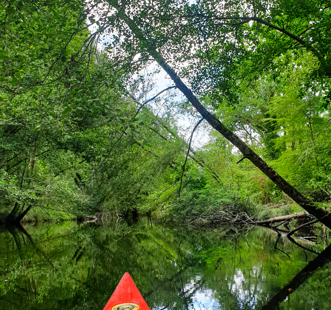 Aperçu de l'activité : Canoë / Kayak
